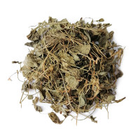 Шамбала трава